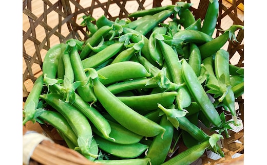 【先行予約：2026年6月上旬頃より発送】甘くてシャキシャキ！ おやつ感覚で食べられる スナップエンドウ 1Kg えんどう豆 夏野菜 おつまみ お弁当 旬の野菜 産地直送 NicoFarm_Y124-0048
