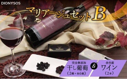 【ギフトボックス】余市産完全無添加干し葡萄と余市産セレクトワインのマリアージュセット ～B～_Y050-0026