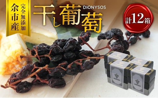 【ギフトボックス】余市産完全無添加干し葡萄DIONYSOS 12箱セット_Y050-0030