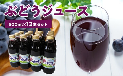 風味豊かな余市産ぶどう100％ジュース500ｍｌ×12本セット_Y018-0062