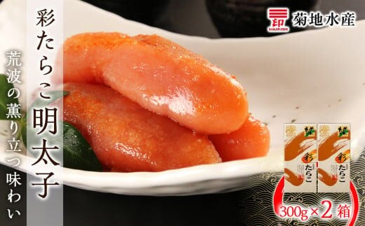 ★余市で製造・加工まで監修★明太子 300g×2箱セット＜菊地水産＞_Y020-0171