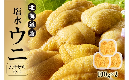 【先行受付】北海道産 世壱屋塩水ウニ（ムラサキウニ）300g_Y038-0144