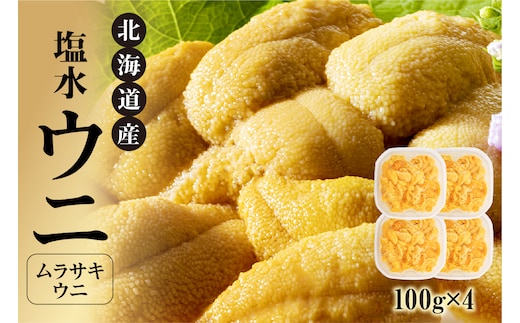 【先行受付】北海道産 世壱屋塩水ウニ（ムラサキウニ）400g_Y038-0145