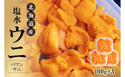 【先行受付】北海道産世壱屋塩水ウニ（バフンウニ）300g_Y038-0146