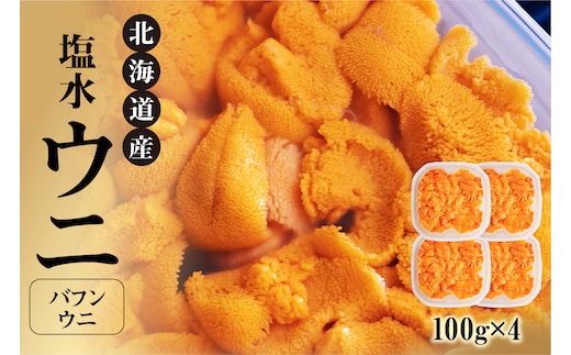 【先行受付】北海道産世壱屋塩水ウニ（バフンウニ）400g_Y038-0147