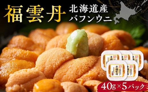 福雲丹40g(バフン 北海道産)5pc_Y038-0160