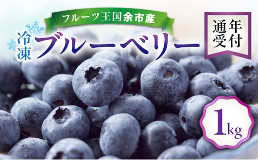 フルーツ王国余市産 冷凍ブルーベリー 1kg 【ニトリ観光果樹園】_Y074-0149