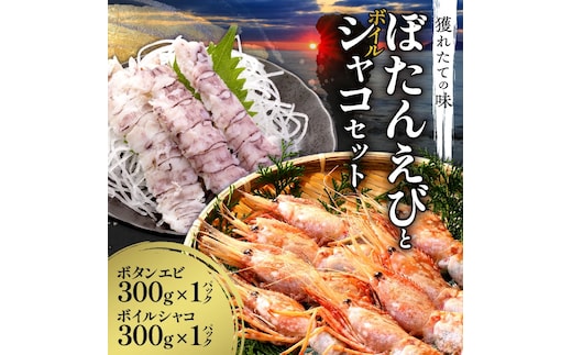 【獲れたての味！】ボタンエビ300g×１パック・ボイルシャコ300g×１パック_Y022-0025