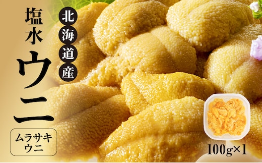 【先行受付】北海道産 世壱屋塩水ウニ（ムラサキウニ）100g_Y038-0138