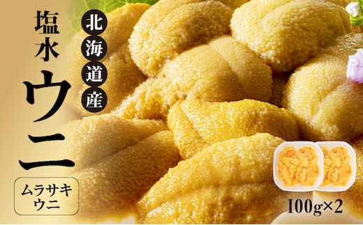 【先行受付】北海道産 世壱屋塩水ウニ（ムラサキウニ）200g_Y038-0139