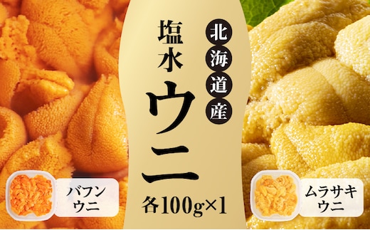 【先行受付】北海道産 世壱屋塩水ウニ（ムラサキウニ＆バフンウニ）各100g_Y038-0142