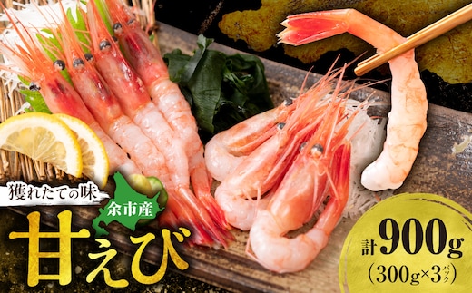 獲れたての味！北海道余市産 甘エビ 900g 300g×3パック 地元漁港直送 急速超低温冷凍 生食可 刺身用 ボイル 天ぷら フライ 国産 海の宝石 プリプリ食感 有頭 天然 19～22尾 送料無料_ Y022-0024
