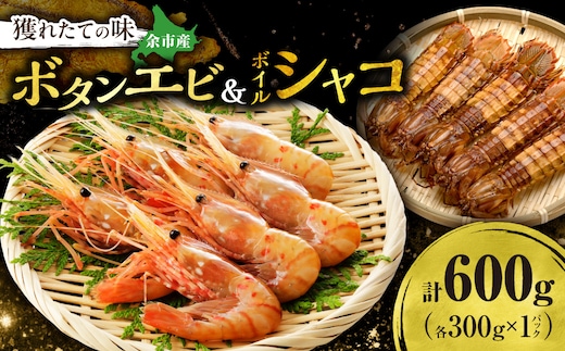 【獲れたての味！北海道余市産 ボタンエビ 300g＋ボイルシャコ300g セット 地元漁港直送 急速超低温冷凍 刺身用 海鮮丼 生食可 国産 天然 食べ比べ 海の幸 詰め合わせ 送料無料_Y022-0027