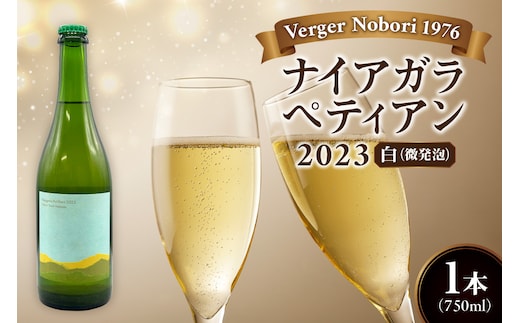 余市町 ナイアガラワイン ペティアン 2023 750ml×1本 Verger Nobori 1976 辛口微発泡白ワイン 余市町登町 マスカット 瓶内二次発酵 ナイアガラ ワイン 白ワイン 北海道 送料無料_Y103-0031