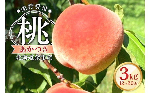 【2026年産 先行予約】＜北海道余市産＞桃「あかつき」3kg（12～20玉）_Y103-0059