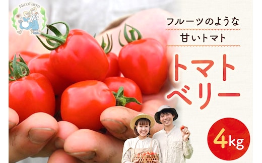 【先行予約2026年7月】子供も大好き！まるでフルーツ！ハート型 トマトベリー 4kg 樹上完熟 果肉たっぷりジューシー_Y124-0025