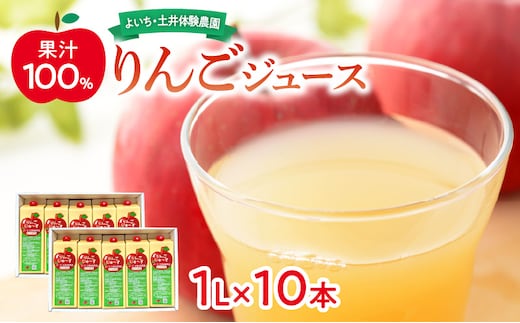 北海道余市町産 太陽の恵み 果汁100% りんごジュース 1L×10本入り 有機栽培 ストレート果汁_Y127-0013