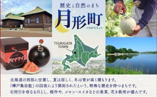 北海道 令和6年産 ななつぼし 4.5kg×2袋 計9kg 特A 精米 米 白米 ご飯 お米 ごはん 国産 ブランド米 おにぎり ふっくら 常温  お取り寄せ 産地直送 農家直送 送料無料 | dショッピングふるさと納税百選