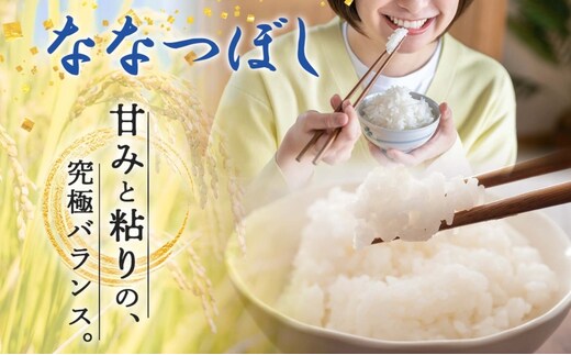 北海道 定期便 3ヵ月連続3回 令和5年産 ななつぼし 5kg×4袋 特A 精米