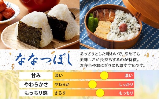 北海道 定期便 3ヵ月連続3回 令和5年産 ななつぼし 5kg×4袋 特A 精米