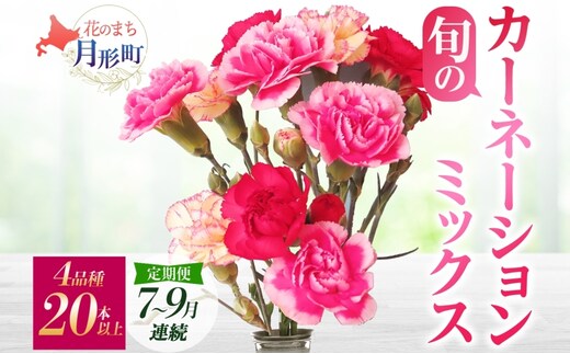 ＜2026年7月～9月まで3ヵ月連続お届け＞北海道 カーネーション ミックス 4品種 20本以上 花 花束 切花 ブーケ 旬 季節 生花 フラワー アレンジメント 
