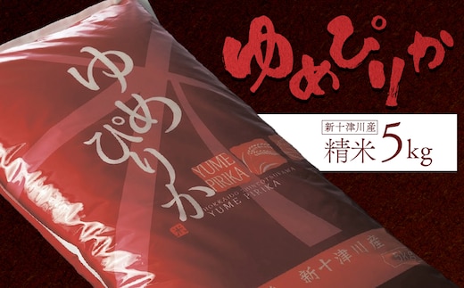 【令和7年度産】ゆめぴりか精米（5kg）【1101206】