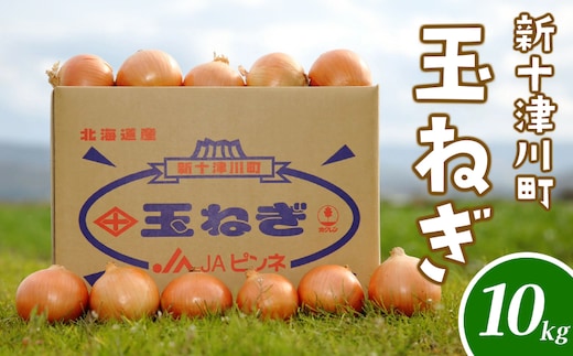 【先行受付】玉ねぎ Lサイズ（10kg）【令和8年10月～12月中旬発送】【1200102】