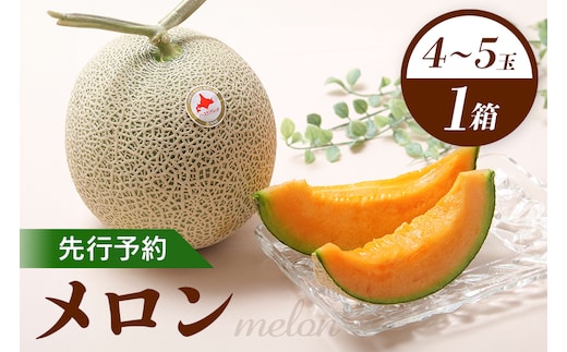 【先行予約】 赤肉メロン1箱（4～5玉） 【令和8年7月～8月上旬発送】【1201801】