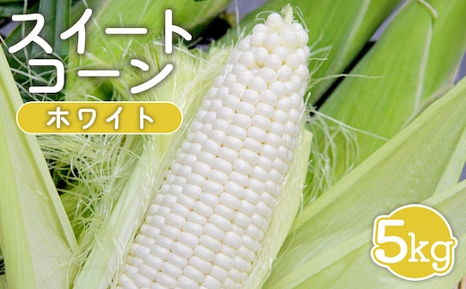【先行受付】 スイートコーン（ホワイト）5kg【令和8年8月1日頃～15日頃発送】【1201901】