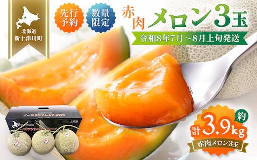【先行予約】【数量限定】 赤肉メロン3玉【令和８年７月～８月上旬発送】【12032】