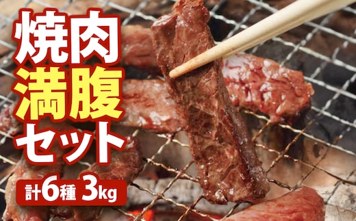 大畠精肉店の焼肉満腹セット（計6種3kg）【1301103】