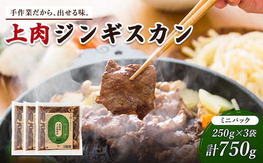 大畠精肉店の上肉じんぎすかんミニパック250g×3袋（計750g）【13022】