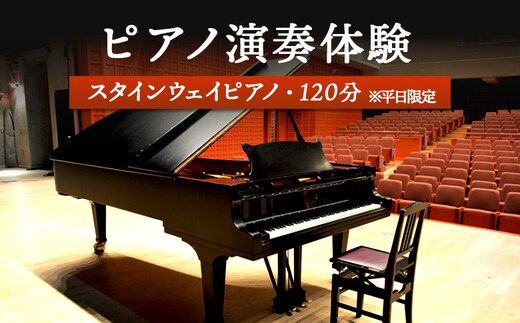 スタインウェイピアノ試弾券（120分） ※平日限定（午前９時～午後９時）【2100101】