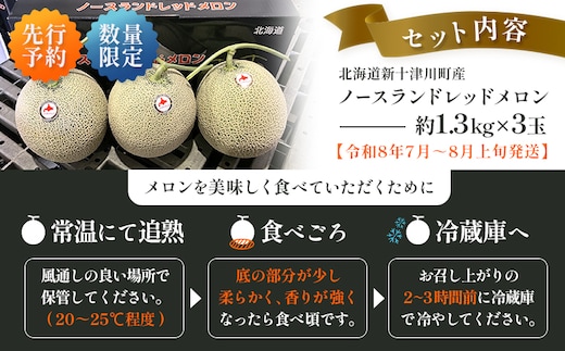 ル*ル様 高知県産　赤肉メロン　6玉入り　約10.4kg（下箱込み） 先行予約】【数量限定】 赤肉メロン3玉【令和8年7月～8月上旬発送