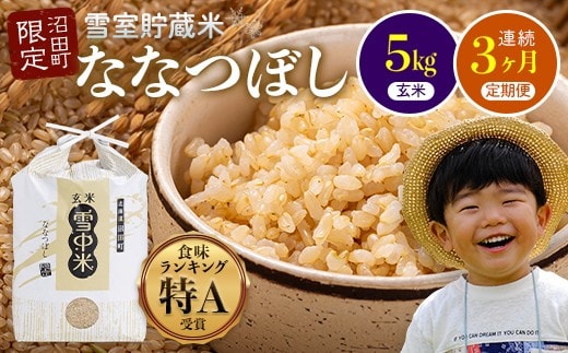 【定期便3ヶ月】ななつぼし 玄米 5kg(5kg×1袋) 5月発送開始 特Aランク米 令和7年産 雪冷気 籾貯蔵 雪中米 北海道 nr-1152