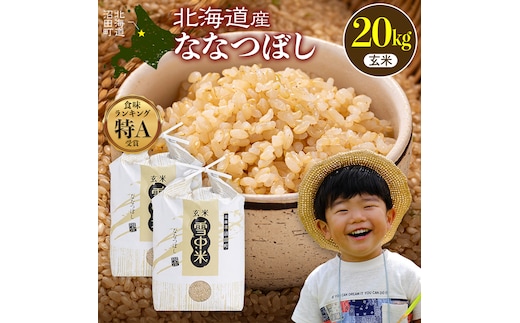 令和8年産 特Aランク米 ななつぼし 玄米 20kg（10kg×2袋）【10月発送】 雪冷気 籾貯蔵 雪中米 北海道 nr-2164
