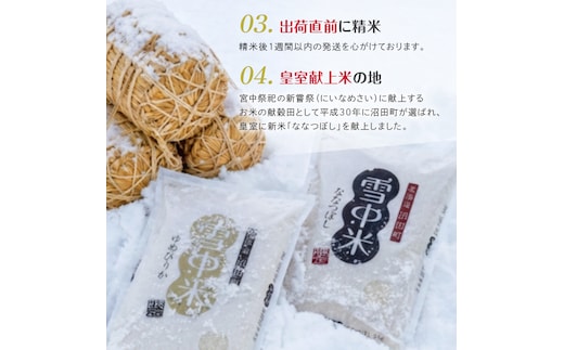 令和8年産 特Aランク米 ななつぼし 無洗米 10kg（5kg×2袋）【5月発送