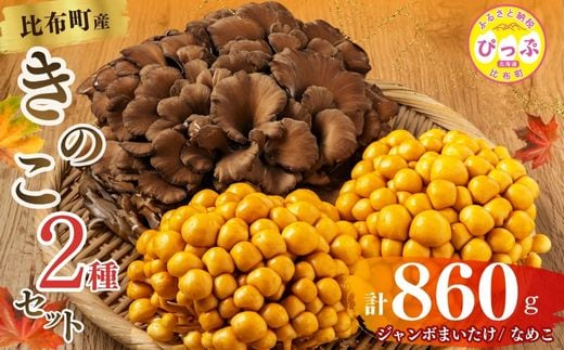 きのこ2種セット 計860g ジャンボまいたけ 500g なめこ 180g×2【北海道きのこ品評会 最優秀賞受賞】【遠藤農産】きのこ キノコ セット 詰め合わせ 舞茸 滑子 国産 北海道産 北海道 比布町 ぴっぷ 1002-001