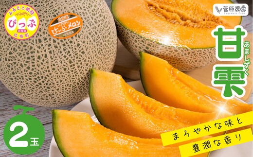 【2026年8月下旬発送】ぴっぷメロン「甘雫（あましずく）」 2玉 約3kg【菅原農産】メロン めろん 果物 くだもの フルーツ 赤肉 旬 お取り寄せ 北海道 比布町 ぴっぷ 1007-001