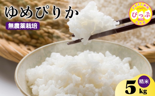 令和7年産 新米 ゆめぴりか 精米 5kg【今野農園】無農薬栽培 農薬不使用 化学肥料不使用 米 お米 北海道米 特Aランク 国産 コメ 2025年産 北海道 比布町 ぴっぷ 1012-004