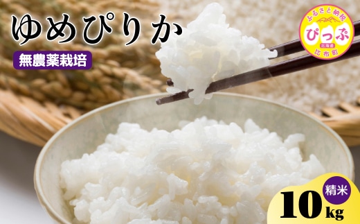 令和7年産 新米 ゆめぴりか 精米 10kg【今野農園】無農薬栽培 農薬不使用 化学肥料不使用 米 お米 北海道米 特Aランク 国産 コメ 2025年産 北海道 比布町 ぴっぷ 1012-005