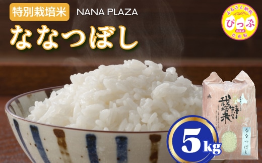 令和7年産 新米 特別栽培米 ななつぼし 5kg【ナナプラザ】米 お米 北海道産 北海道米 特Aランク 国産 白米 コメ 北海道 比布町 ぴっぷ 1021-003