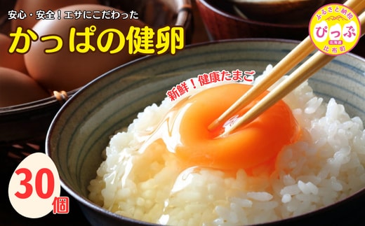 かっぱの健卵 30個入り【大熊養鶏場】たまご 卵 玉子 タマゴ 生卵 こだわり 卵かけご飯 TKG 国産 お取り寄せ 北海道 比布町 ぴっぷ 1006-003