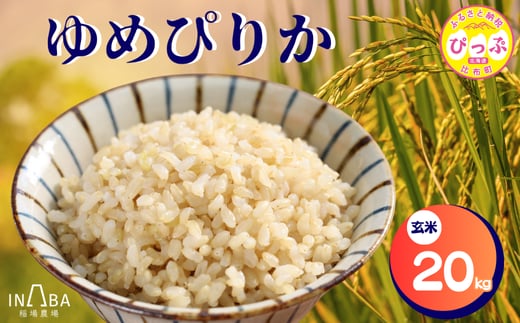 ゆめぴりか 玄米 20kg【稲場農場】【2025年産 先行受付】米 お米 北海道米 特Aランク 国産 白米 コメ 北海道 比布町 ぴっぷ 1024-006