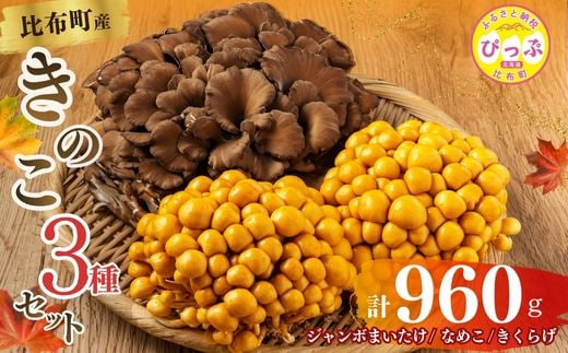 きのこ3種セット 計960g ジャンボまいたけ 500g なめこ 180g×2 きくらげ 100g【北海道きのこ品評会 最優秀賞受賞】【遠藤農産】きのこ キノコ セット 詰め合わせ 舞茸 滑子 木耳 国産 北海道産 北海道 比布町 ぴっぷ 1002-002