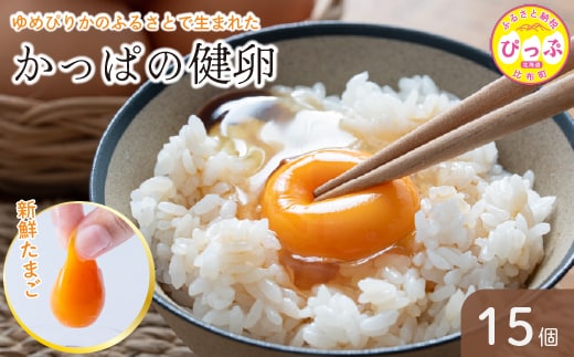 かっぱの健卵 15個入り【大熊養鶏場】たまご 卵 玉子 タマゴ 生卵 こだわり 卵かけご飯 TKG 国産 お取り寄せ 北海道 比布町 ぴっぷ 1006-001