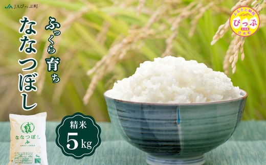 令和8年産 新米 ななつぼし 精米 5kg【JAぴっぷ町】米 お米 北海道産 北海道米 特Aランク 国産 白米 コメ 北海道 比布町 ぴっぷ 1001-003