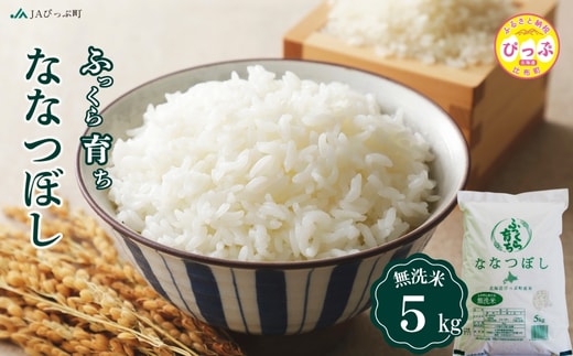 令和8年産 新米 ななつぼし 無洗米 5kg【JAぴっぷ町】米 お米 北海道産 北海道米 特Aランク 国産 白米 コメ 北海道 比布町 ぴっぷ 1001-004