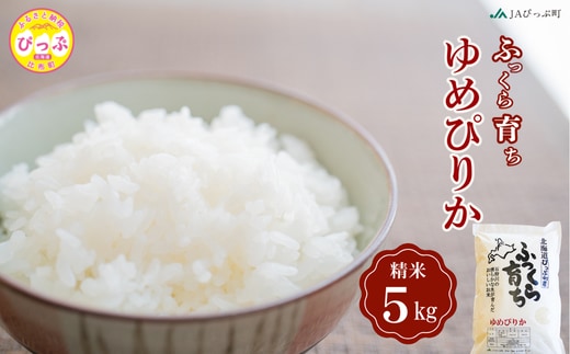 令和8年産 新米 ゆめぴりか 精米 5kg【JAぴっぷ町】米 お米 北海道産 北海道米 特Aランク 国産 白米 コメ 北海道 比布町 ぴっぷ 1001-005