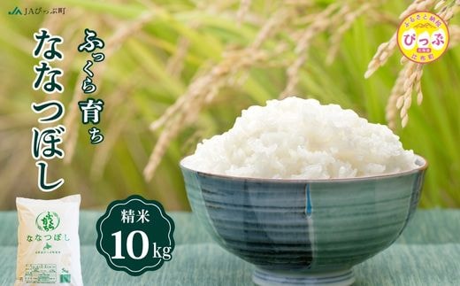 令和8年産 新米 ななつぼし 精米 10kg（5kg×2袋）【JAぴっぷ町】米 お米 北海道産 北海道米 特Aランク 国産 白米 コメ 北海道 比布町 ぴっぷ 1001-011